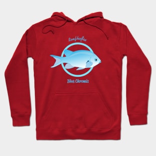 Blue Chromis Hoodie